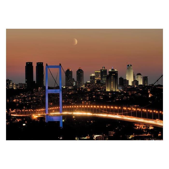 Educa 1000 Puzzle 14755 Boğaziçi Köprüsü MP26480 | Mucit Panda