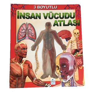 insan-anatomi-atlasi.jpg