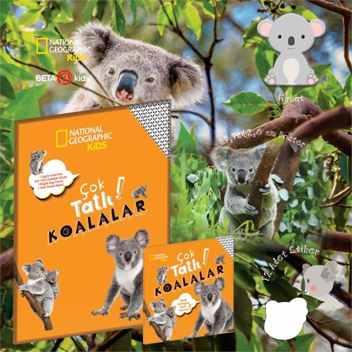 Çok Tatlı Koalalar