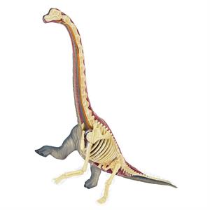 4d-vision-brachiosaurus-8573-jpg.jpeg