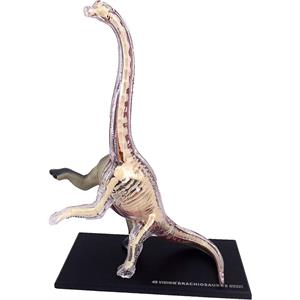 4d-vision-brachiosaurus-8574-jpg.jpeg