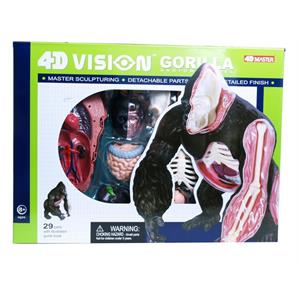 4d-vision-goril-8622-jpg.jpeg