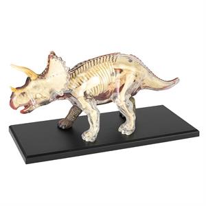 4D Master Vision Triceratops Anatomi Modeli