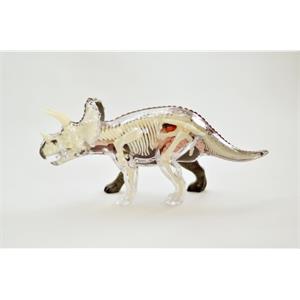 4d-vision-triceratops-8638-jpg.jpeg