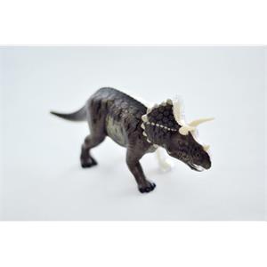 4d-vision-triceratops-8639-jpg.jpeg