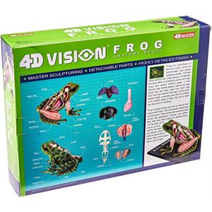 4d-vision-kurbaga-8657-jpg.jpeg