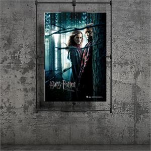 Wizarding World Harry Potter Poster - Deathly Hallows P.1, Ron/Hermione