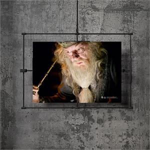 Wizarding World Harry Potter Poster - Dumbledore
