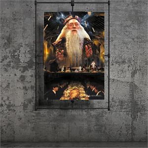 Wizarding World Harry Potter Poster - Dumbledore2