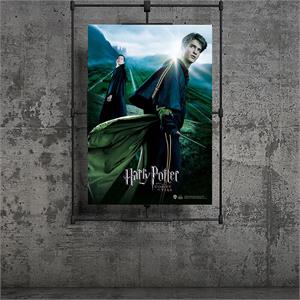 Wizarding World Harry Potter Poster - Goblet of Fire, Cedric