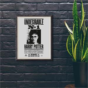 Wizarding World Harry Potter Poster - Undesirable No:1, Harry Potter