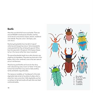 insects-and-minibeasts-a-ladybird-book-e3-dea.jpg
