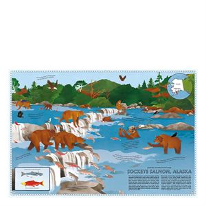 atlas-of-animal-adventures-cocuk-kitap-922c-a..jpg