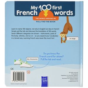 first-100-french-words-the-world-aroun-77e7db.jpg