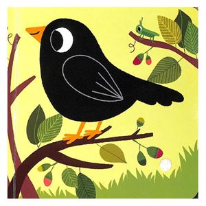 listen-to-the-birds-cocuk-kitaplari-uz-362714..jpg