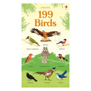 199-birds-cocuk-kitaplari-uzmani-child-c922e3.jpg