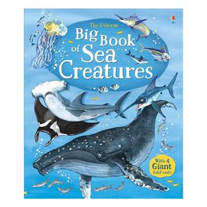 big-book-of-sea-creatures-cocuk-kitapl--47c10..jpg