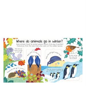 where-do-animals-go-in-winter-cocuk-ki--e15b-.jpg