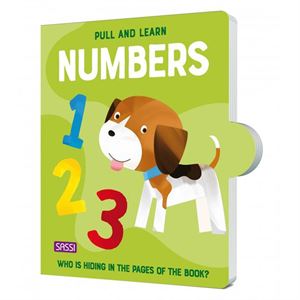 pull-and-learn-numbers-cocuk-kitaplari-8c-d6b..jpg